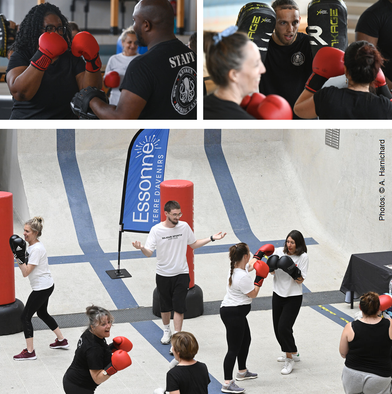 Kraken boxing club - CD 91
